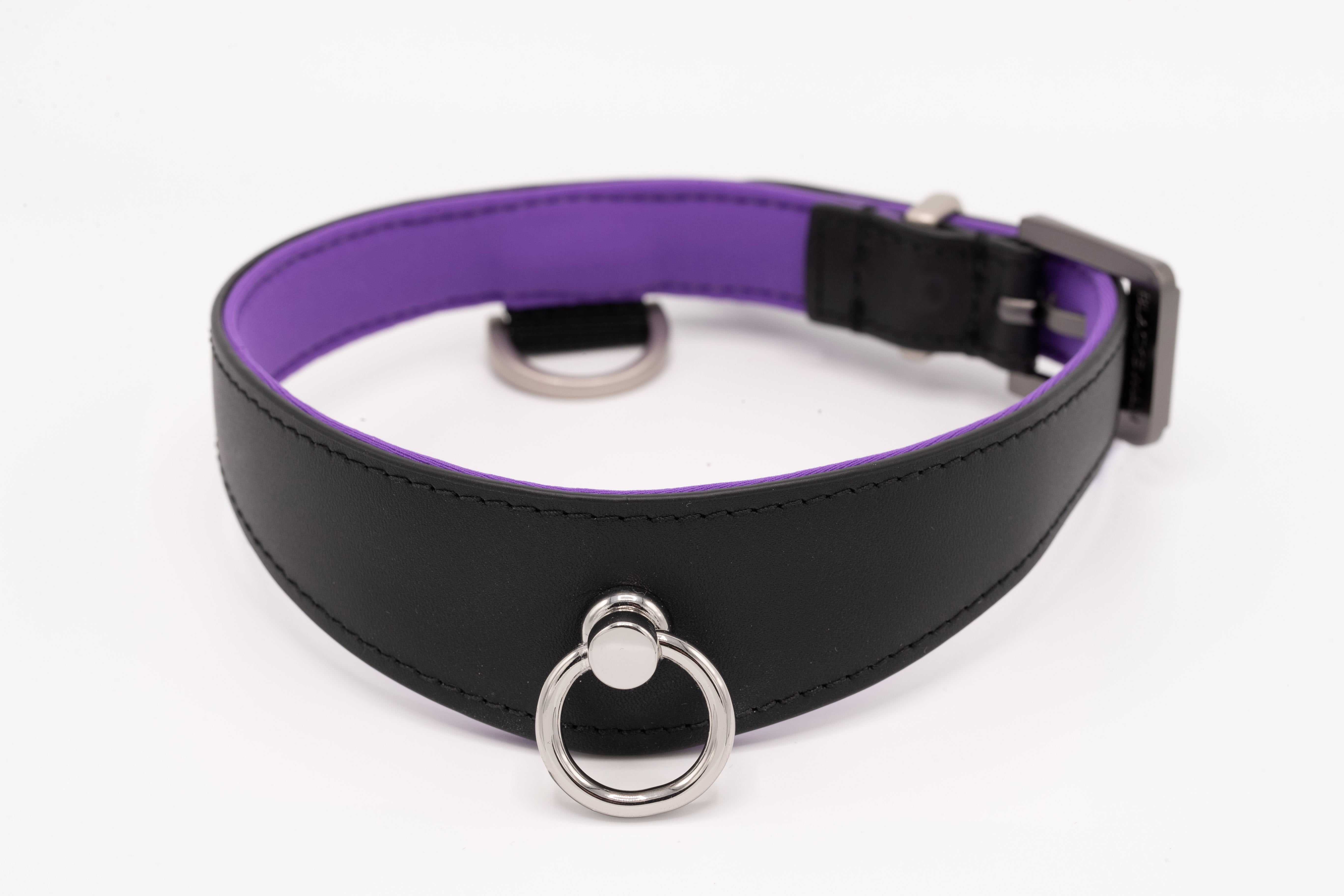 Black Swan Collars Black Purple