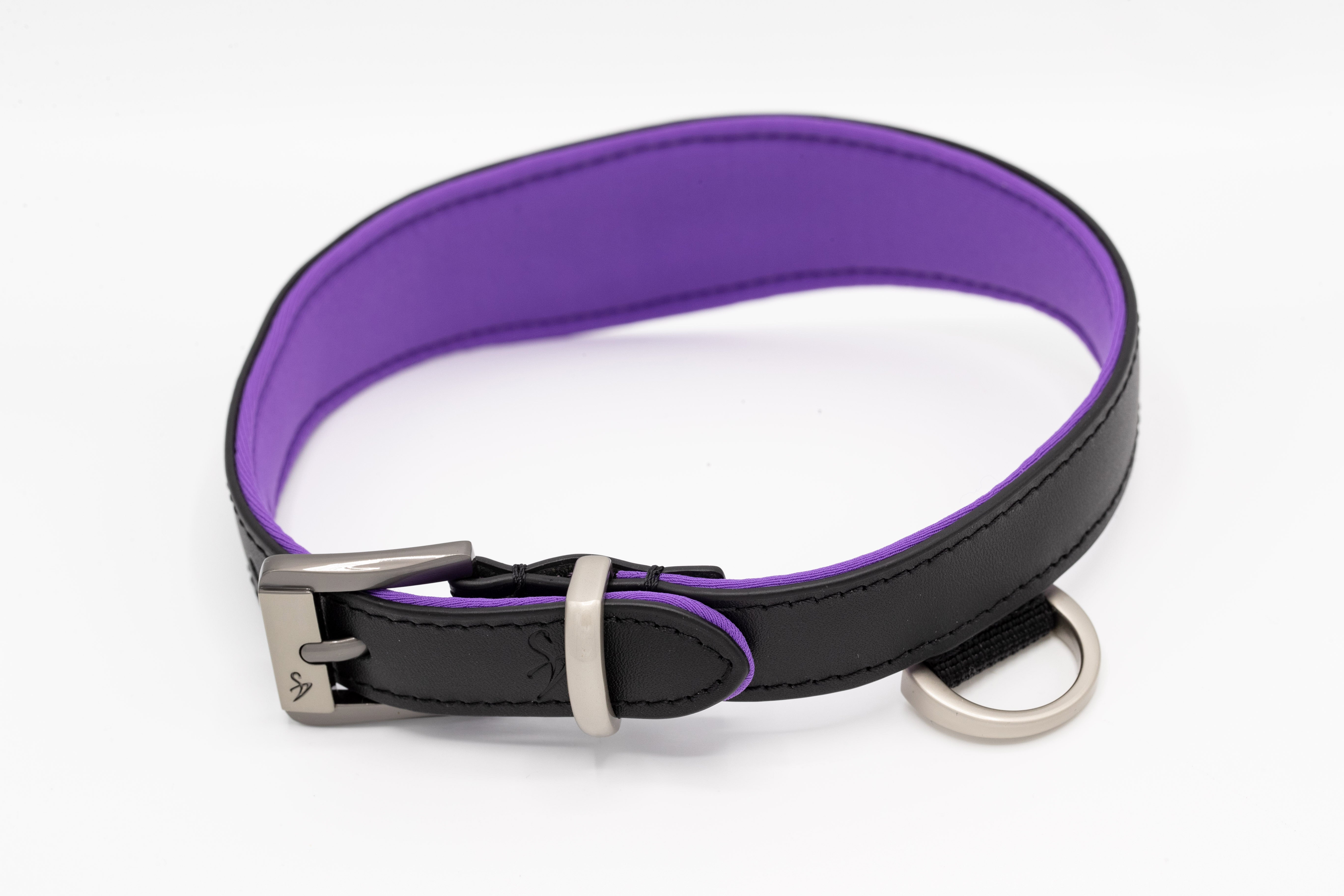 Black Swan Collars Black Purple
